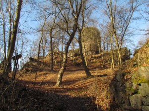 IMG_1574
